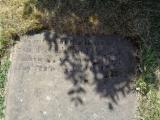 image of grave number 947302